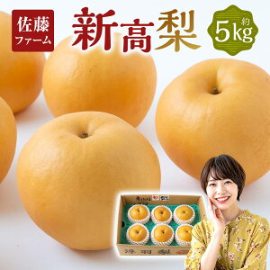 yӂ邳Ɣ[Łzys\zt@[ V 5ʁ`8 i5kgj y2026N9{`10{菇\z  Ȃ iV t[c V ɂ  ʎ ʕ 퉷  