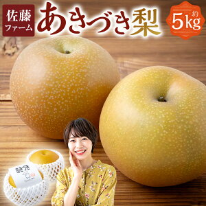 yӂ邳Ɣ[Łzys\zt@[ Â 8ʁ`13 i5kgj y2026N9{菇\z  Ȃ iV H Â t[c ʎ ʕ 퉷   