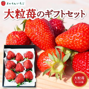【ふるさと納税】【選べる発送時期】よかもんいちご 大粒苺のギフトセットA いちご 苺 フルーツ 【2025年12月から2026年4月まで順次発送予定】送料無料 福岡県 うきは市