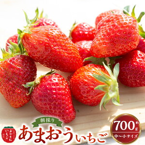 �y�ӂ邳�Ɣ[�Łz�悩���񂢂����̒��̂肠�܂��������� ��700g ���`���T�C�Y ������ �C�`�S � �t���[�c �������� �ʕ� �ʎ� �l�ߍ��킹 ���E�� �n�ꂽ�� �① �������Y ���Y ������ ������