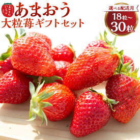 【ふるさと納税】 よかもんいちご あまおう大粒苺のギフトセットB 【2026年2月から2026年4月出荷予定】 フルーツ 果物 果実 送料無料 福岡県 うきは市