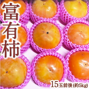 yӂ邳Ɣ[Łzt[c xL` 15ʑO (5kg) 2025N11{12{ oח\ ` JL { t[c ʕ ʎ 퉷   ͎s