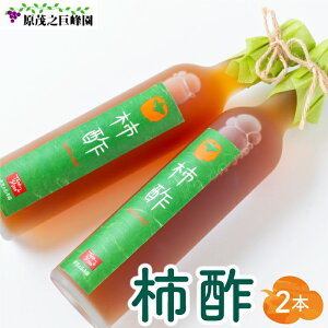 yӂ邳Ɣ[ŁzyIׂ{zΔV `| (500ml) n {i ͎sY xL`100 N  p Y_ | | ނ|   ͎s