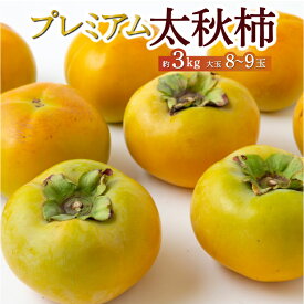 【ふるさと納税】【先行予約】原茂之巨峰園 プレミアム太秋柿 大玉 8玉から9玉 (約3kg) 2025年10月中旬から11月上旬 出荷予定 かき 柿 カキ フルーツ 果実 果物 常温 送料無料 福岡県 うきは市