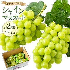 【ふるさと納税】【先行予約】原茂之巨峰園 シャインマスカット 4房から5房 （約2kg） 【2026年8月下旬～9月下旬より順次発送予定】 ぶどう 葡萄 マスカット フルーツ 果実 果物 冷蔵 送料無料 福岡県 うきは市