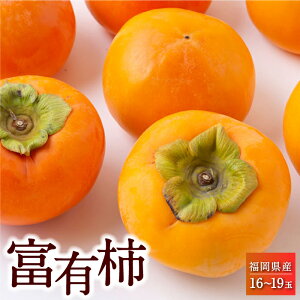 yӂ邳Ɣ[ŁzqIׂeʁrys\z]_ xL` 10ʂ12(3kg)E16ʂ19(5kg) 2025N11{11{ oח\ ` JL { t[c ʕ ʎ 퉷  