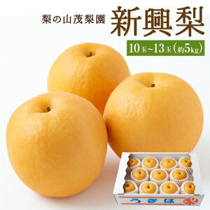 �y�ӂ邳�Ɣ[�Łz �y��s�\��z���̎R�Η��� �V���� 10�ʂ���13�� (��5kg) 2026�N10����{����11����{ �o�ח\�� �� �Ȃ� �i�V �t���[�c �ʎ� �ʕ� �퉷 �������� ������ �����͎s