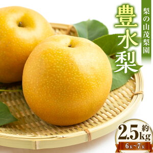 �y�ӂ邳�Ɣ[�Łz�y��s�\��z ���̎R�Η��� �L���� 6�ʁ`7�ʁi��2.5kg�j �� �Ȃ� �i�V �t���[�c �������� �ʕ� �ʎ� �������Y ���Y ��B ������ �����͎s �������� �y2026�N8�����{�`9����{��