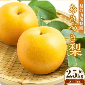 【ふるさと納税】【先行予約】 梨の山茂梨園 あきづき梨 5玉～7玉（約2.5kg） 赤梨 梨 なし ナシ フルーツ くだもの 果物 果実 福岡県産 国産 九州 福岡県 うきは市 送料無料 【2026年9月上旬～下旬発送予定】