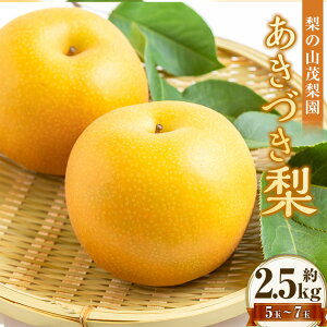 �y�ӂ邳�Ɣ[�Łz�y��s�\��z ���̎R�Η��� �����Â��� 5�ʁ`7�ʁi��2.5kg�j �ԗ� �� �Ȃ� �i�V �t���[�c �������� �ʕ� �ʎ� �������Y ���Y ��B ������ �����͎s �������� �y2026�N9����{�`