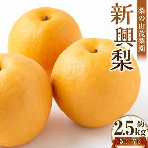 �y�ӂ邳�Ɣ[�Łz�y��s�\��z ���̎R�Η��� �V���� 5�ʁ`7�ʁi��2.5kg�j �� �Ȃ� �i�V �t���[�c �������� �ʕ� �ʎ� �������Y ���Y ��B ������ �����͎s �������� �y2026�N10����{�`11����{