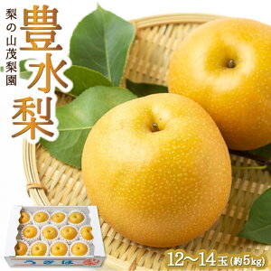 yӂ邳Ɣ[Łz ys\z̎RΗ L12ʂ14 i5kgj y2026N8{`9{菇\z  Ȃ iV L ق t[c ʎ ʕ 퉷  