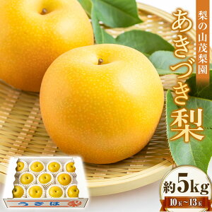 yӂ邳Ɣ[Łz ys\z̎RΗ Â 10ʂ13 i5kgj y2026N9{`9{菇\z  Ȃ iV H Â t[c ʎ ʕ 퉷  