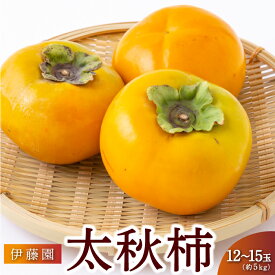 【ふるさと納税】 【先行予約】伊藤園 太秋柿 12玉から15玉 (約5kg) 2025年10月中旬から10月下旬 出荷予定 柿 カキ 旬 フルーツ 果物 果実 常温 送料無料 福岡県 うきは市