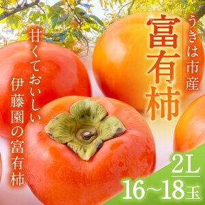 yӂ邳Ɣ[Łzys\zɓ xL` 2LTCY 16ʂ18 2025N11{12{ oח\ ` JL { t[c ʕ ʎ 퉷   ͎s