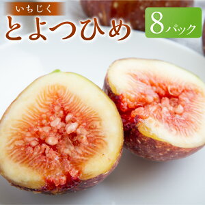 �y�ӂ邳�Ɣ[�Łz�������� �Ƃ�݂Ђ� 8�p�b�N 1�p�b�N������3�`5�� �C�`�W�N ���ԉ� �t���[�c �������� �ʕ� �ʎ� �① �������Y ���Y ��B ������ �����͎s �������� �y2026�N7�����{�`8��