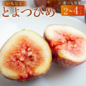 �y�ӂ邳�Ɣ[�Łz�y��s�\��z�n�Ӕ_�� �������� (�Ƃ�݂Ђ�) 2�p�b�N�E4�p�b�N �y2026�N7�����{����8�����{ �o�ח\��z �������� �t���[�c �ʕ� �ʎ� �퉷 �������� ������ �����͎s