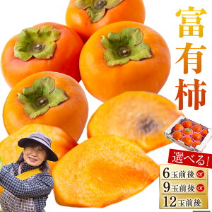 yӂ邳Ɣ[ŁzqIׂeʁrnӔ_ xL` 6ʑOE9ʑOE12ʑO 2025N11{12{ oח\ ` JL { t[c ʕ ʎ 퉷   ͎s