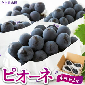 yӂ邳Ɣ[Łzys\zѐ sI[l 4[ i2kgj y2026N7{`7{菇\z  Ԃǂ uhE t[c ʎ ʕ ①   ͎s