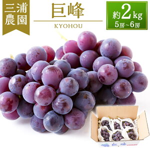 �y�ӂ邳�Ɣ[�Łz�y��s�\��z�O�Y�_�� ���� 5�[����6�[ (��2kg) 2026�N8�����{����9����{ �o�ח\�� ���� �Ԃǂ� �u�h�E �t���[�c �ʎ� �ʕ� �① �������� ������ �����͎s