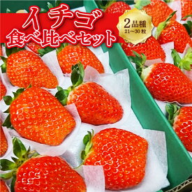 【ふるさと納税】【選べる配送月】梶原フルーツのイチゴ 食べ比べ セット 約850gから900g (21粒から30粒) イチゴ いちご 苺 フルーツ あまおう 紅ほっぺ 章姫 かおり野 恋みのり スターナイト ほしうらら はるひ すず 福岡県 うきは市 送料無料 【2026年2月～3月 発送予定】