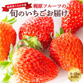 【ふるさと納税】【選べる配送月】 梶原フルーツの旬のいちごお届け 約450g (9粒から15粒) あまおう かおり野 紅ほっぺ 恋みのり 章姫 スターナイト ほしうらら はるひ すず いちご イチゴ 苺 フルーツ 果物 果実 福岡県 うきは市 送料無料 【2026年1月～3月 発送予定】