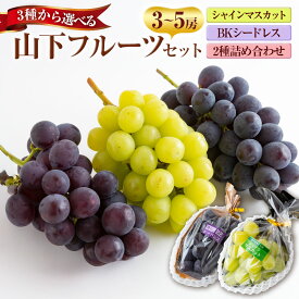 【ふるさと納税】＜選べるセット＞【先行予約】山下フルーツ シャインマスカット 3房～5房 ／ BKシードレス 3房～5房 ／ シャインマスカットとBKシードレスの詰め合わせ 3房～5房 【2026年8月上旬～9月上旬より順次発送予定】 ぶどう 送料無料 常温 福岡県 うきは市