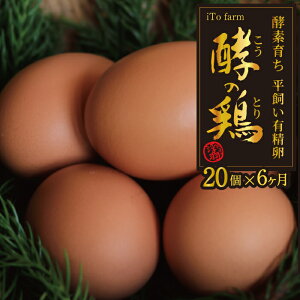 yӂ邳Ɣ[Łz iTo farm y̌{ 40 {̗ ܂  ʎq ^}S { Ic  H  lC ܂Ă   ͎s