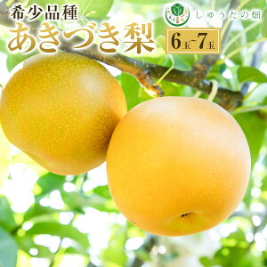 yӂ邳Ɣ[Łzys\zイ̔ 󏭕i Â 6ʂ7 y2026N9{菇\z  Ȃ iV Â ʕ  t[c ʎ W[V[ Y_ 