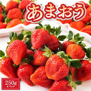 yӂ邳Ɣ[ŁzGreen's ủlvڎwY܂ 250g×4pbN ܂  C`S  t[c ʕ ①   ͎s y2026N22026N4{`{