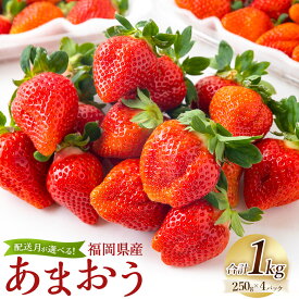 【ふるさと納税】Green's 「いちごの王様」目指す福岡県産あまおう 250g×4パック あまおう いちご イチゴ 苺 フルーツ 果物 冷蔵 送料無料 福岡県 うきは市 【2026年2月から2026年4月上旬～下旬お届け】