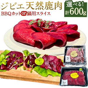 yӂ邳Ɣ[ŁzyIׂށzyWrGzVR BBQJbg 300g×2pbNEpXCX 300g×2pbN   ɂ BBQ o[oL[ Lv  XCX XCX Jbg Ⓚ 