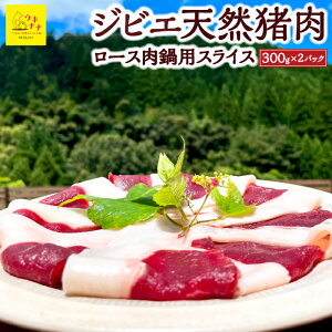 yӂ邳Ɣ[ŁzyWrGzVR BBQJbg 300g×2pbNE[XpXCX 300g×2pbN y2025N11{`2026N3{菇oח\z WrG   BBQ [X  XCX 