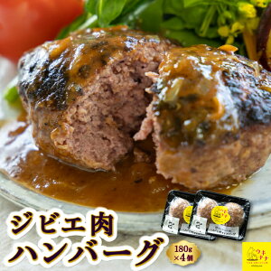 yӂ邳Ɣ[ŁzyWrGz` WrG no[O 180g×4   ɂ BBQ o[oL[ Lv Ⓚ   ͎s
