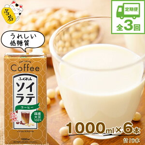 yӂ邳Ɣ[Łzy3Aցzqӂr@ Y哤100 @\CeR[q[@1000ml×6{@[M429P-2P]@\Ce@C\t{@\C@@N@ς