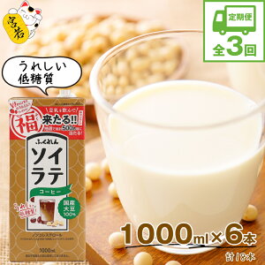yӂ邳Ɣ[Łzy3Aցzqӂr@ Y哤100 @\CeR[q[@1000ml×6{@[M429P-2P]@\Ce@C\t{@\C@@N@ς