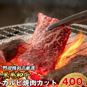 yӂ邳Ɣ[Łza јa  r[t cXIјa Jr400g BBQ  {s  M81