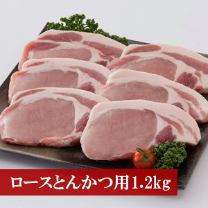 yӂ邳Ɣ[Łzؓ |[N [X Ƃ񂩂 cXIؓ [XƂ񂩂p1.2kg BBQ  {s  M76