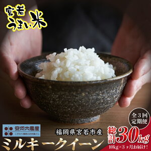 yӂ邳Ɣ[Łzy3zߘa7NY@ys\z~L[NC[ 30kg (10kgk5kg×2܁l×3)@y9{菇z{Y ͓_Yr@[M859-T1]@  B̂