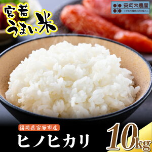yӂ邳Ɣ[Łzq͓_Yrߘa7NY ys\zqmqJ 10kg(5kg×2)y10{菇z{Y [M791-2] V {Ⴄ܂  uh R  