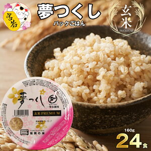 yӂ邳Ɣ[Łz    ͂  PREMIUM pbN͂ 160g×24H ͂pbN 퉷pbN Y BY Y { gg CX^g W ۑH ~p ~ H 