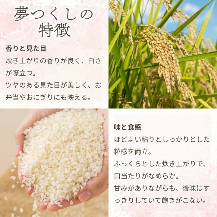 楽天市場】【ふるさと納税】数量限定 令和7年産 夢つくし 精米 20kg 