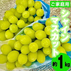 yӂ邳Ɣ[Łzq_rVC}XJbg1kg(ƒp) [M758-3] ʕ ʏ` Ԃǂ   t[c Â }XJbg  {s 