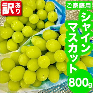 yӂ邳Ɣ[Łzy󂠂zq_rVC}XJbg800g(ƒp) [M881-1] ʕ ʏ` Ԃǂ   t[c Â }XJbg  {s 
