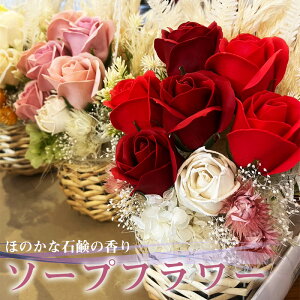 yӂ邳Ɣ[ŁzR flower \[vt[ Ό   t[AWg ̓ v[g Mtg  RX e vU[uht[ ԂƃXC[c {s  M659 Lb`
