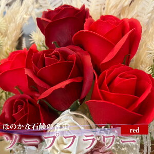 yӂ邳Ɣ[ŁzR flower@\[vt[@bh@FN₩ŗD@[M659-R]@Ό   t[AWg v[g