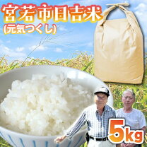 楽天市場】元気つくし 2kgの通販