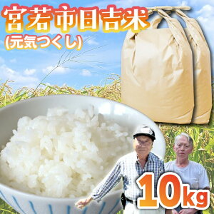 �y�ӂ邳�Ɣ[�Łz�y�ߘa7�N�Y�z���g�Y ���C���� 10kg [M910-1]