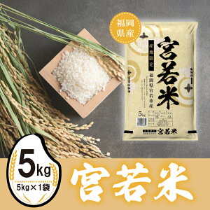 �y�ӂ邳�Ɣ[�Łz�y�ߘa7�N�Y�z�{���(������) ���� 5kg [M923-1] ���͂� �R�� ���� ���� ���� �u�����h��