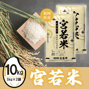 �y�ӂ邳�Ɣ[�Łz�y�ߘa7�N�Y�z�{���(������) ���� 10kg [M924-1] ���͂� �R�� ���� ���� ���� �u�����h��